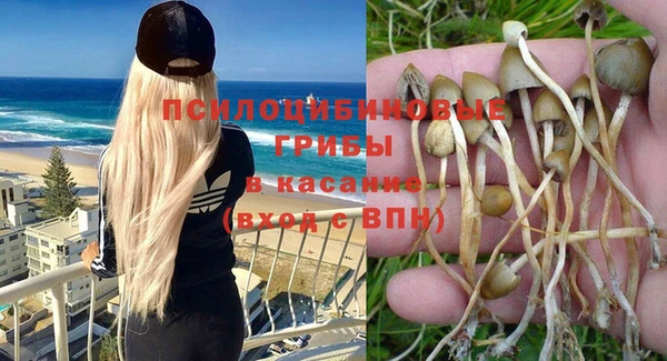 мескалин Ладушкин