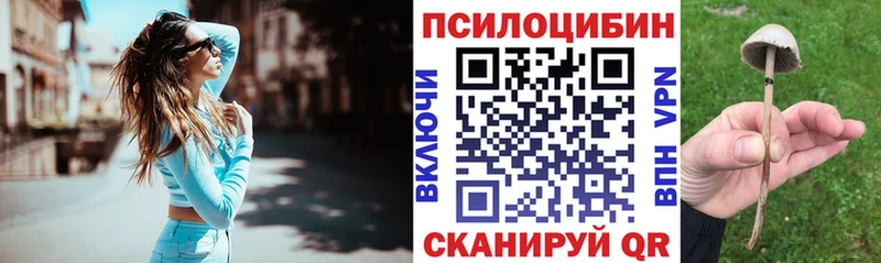 ОМГ ОМГ онион  Волжский  Псилоцибиновые грибы мухоморы 