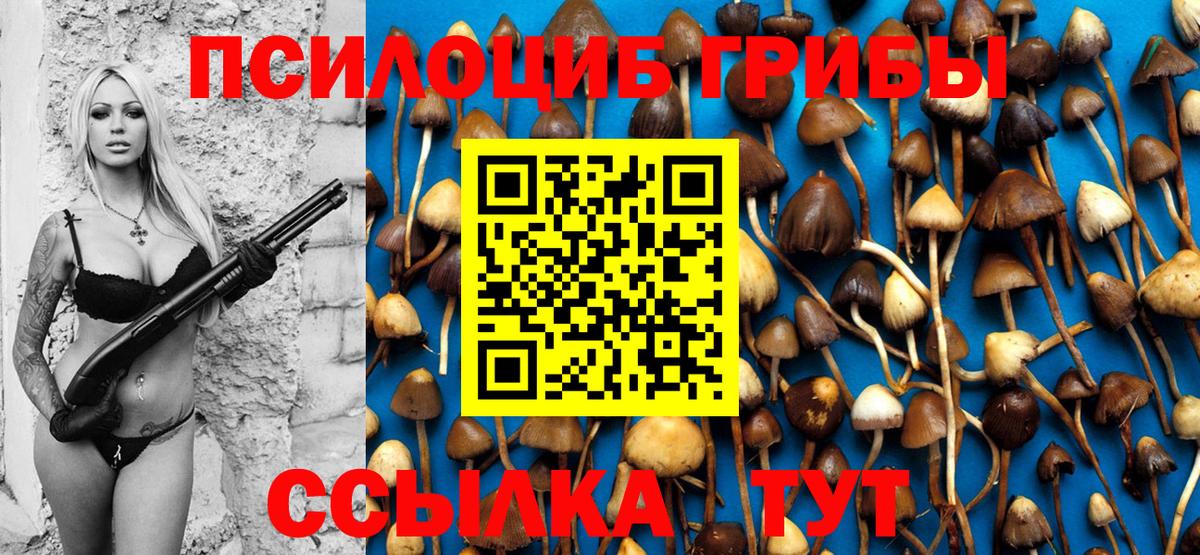 Псилоцибиновые грибы мухоморы  Волжский 